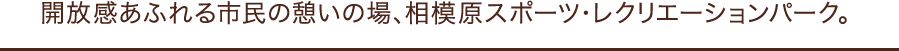 開放感あふれる市民の憩いの場、相模原スポーツ・レクリエーションパーク。