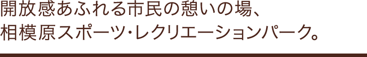 開放感あふれる市民の憩いの場、相模原スポーツ・レクリエーションパーク。