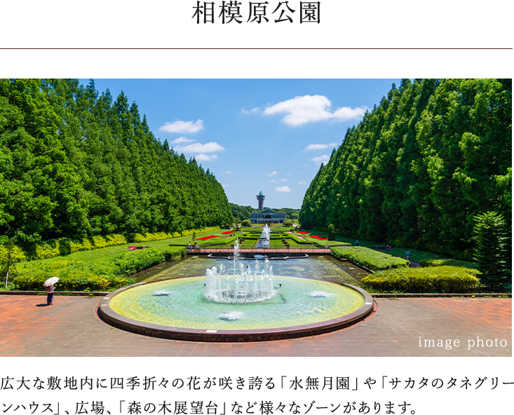 相模原公園