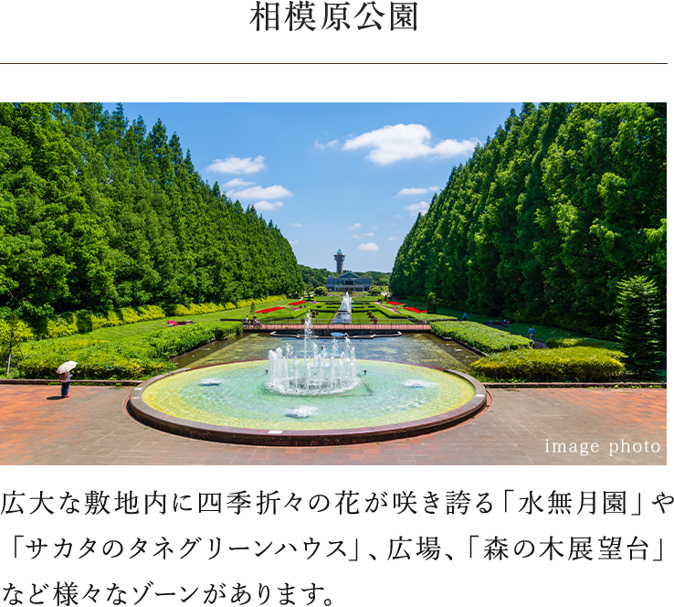 相模原公園